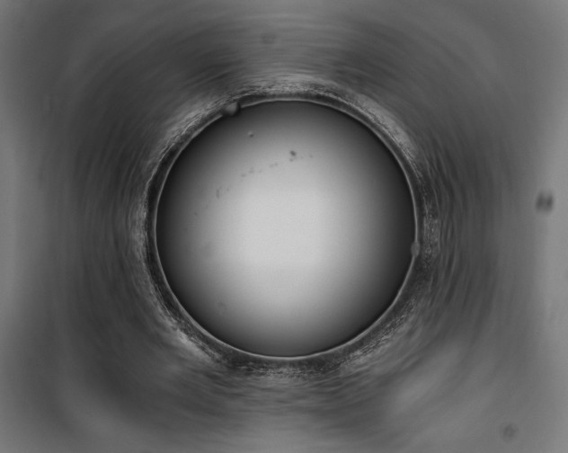 X0000101460485200807071434