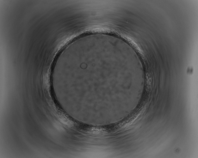 X0000101460487200807071434