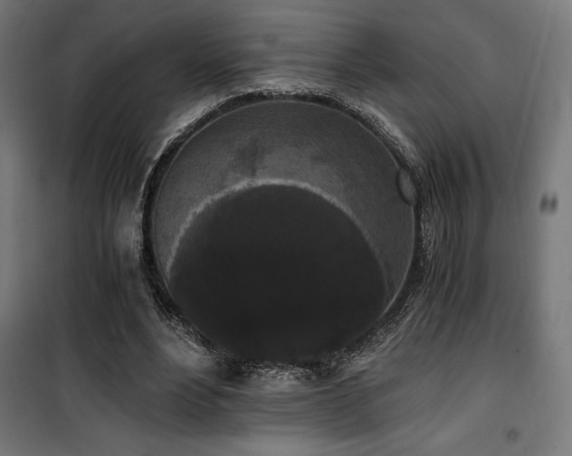 X0000101460488200807071434
