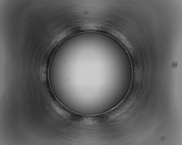 X0000101460489200807071434