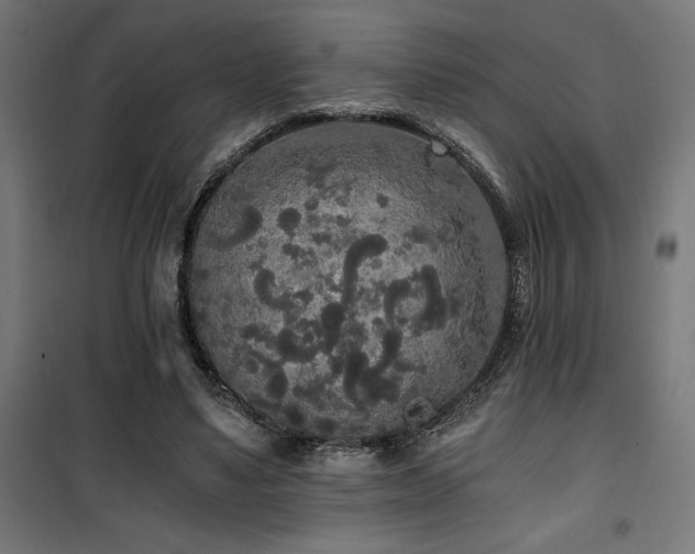 X0000101460491200807071434