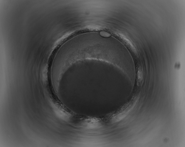 X0000101460492200807071434