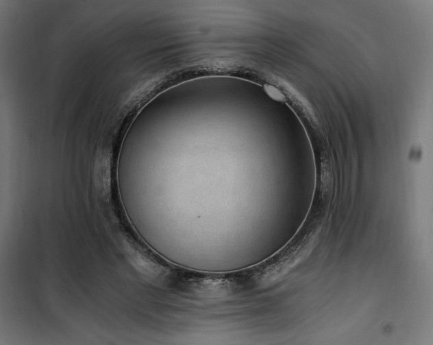 X0000101460493200807071434