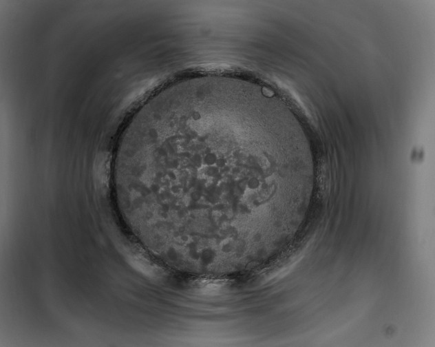 X0000101460495200807071434