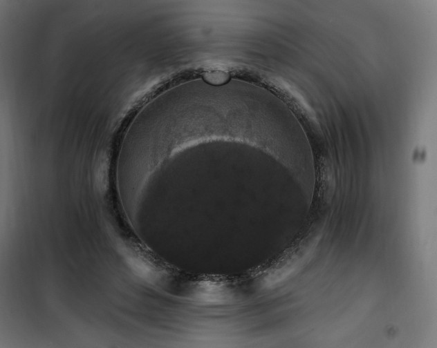 X0000101460496200807071434