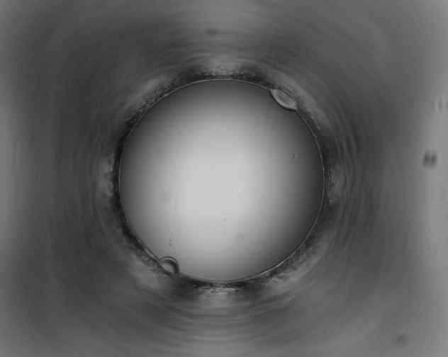 X0000101460497200807071434