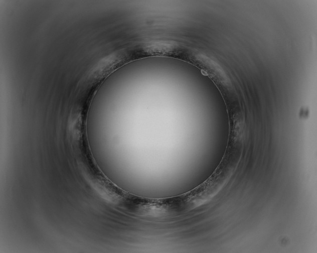 X0000101460498200807071434