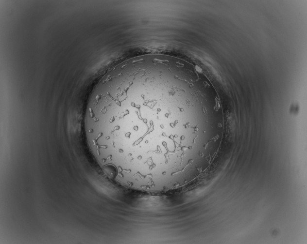 X0000101460499200807071434