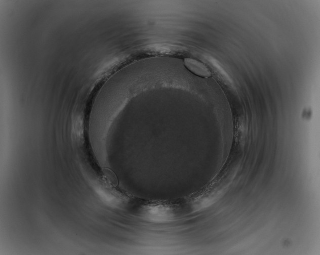 X0000101460500200807071434
