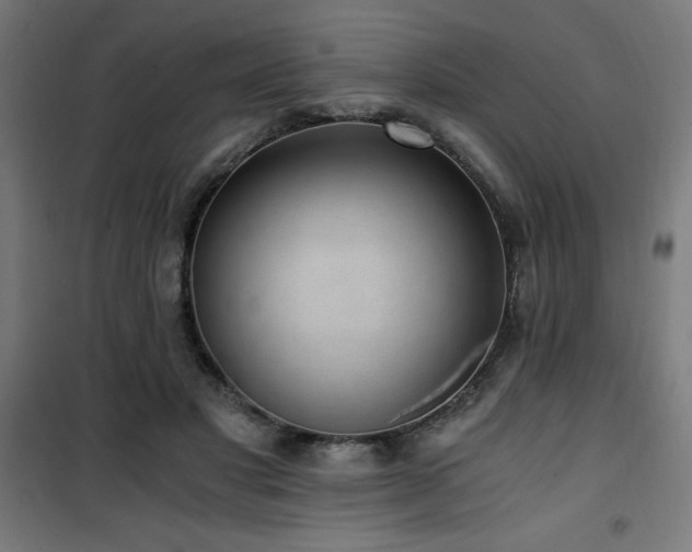 X0000101460501200807071434