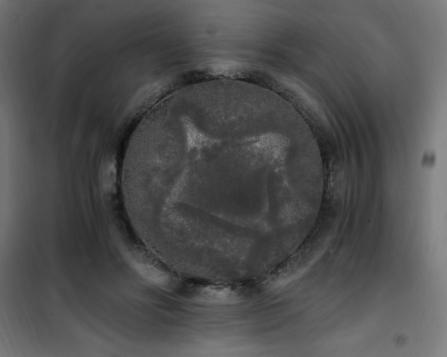 X0000101460502200807071434