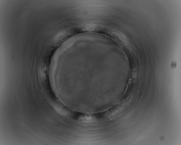 X0000101460503200807071434