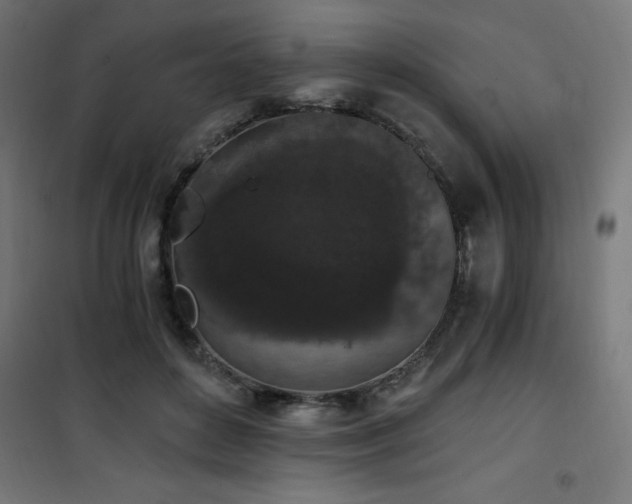 X0000101460504200807071434