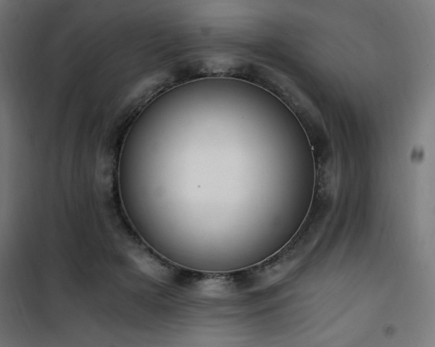 X0000101460505200807071434
