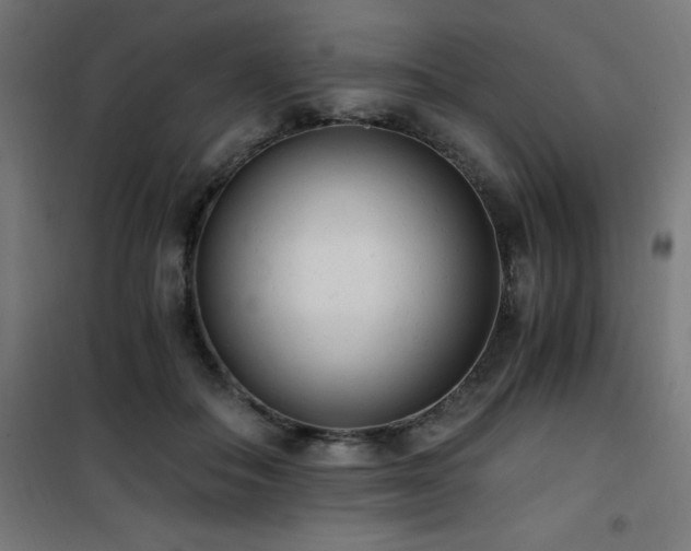 X0000101460506200807071434
