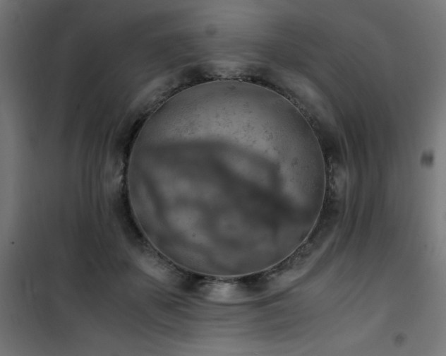 X0000101460507200807071434