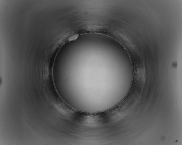 X0000101460508200807071434