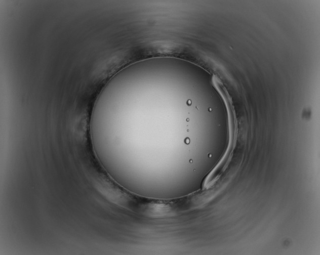 X0000101460509200807071434