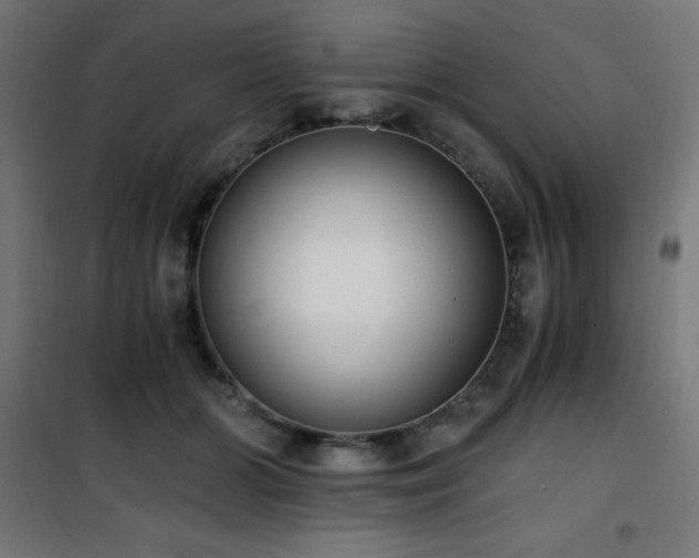 X0000101460510200807071434