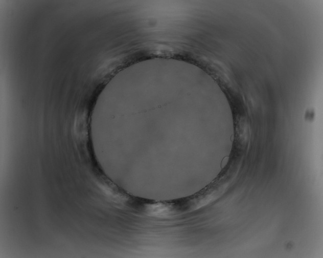 X0000101460511200807071434