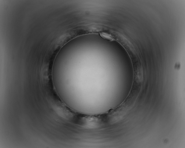 X0000101460512200807071434