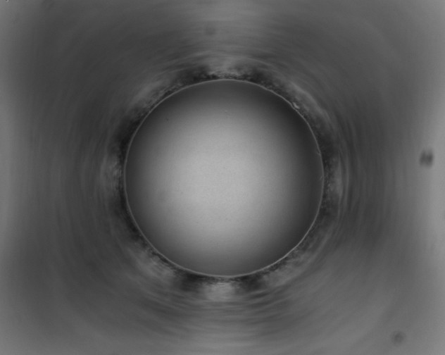 X0000101460513200807071434