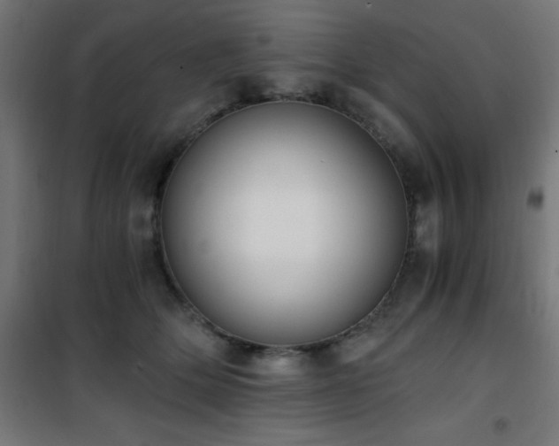 X0000101460514200807071434