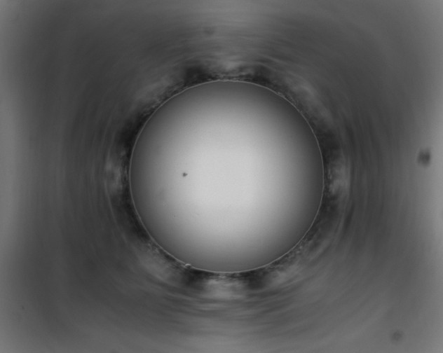 X0000101460515200807071433