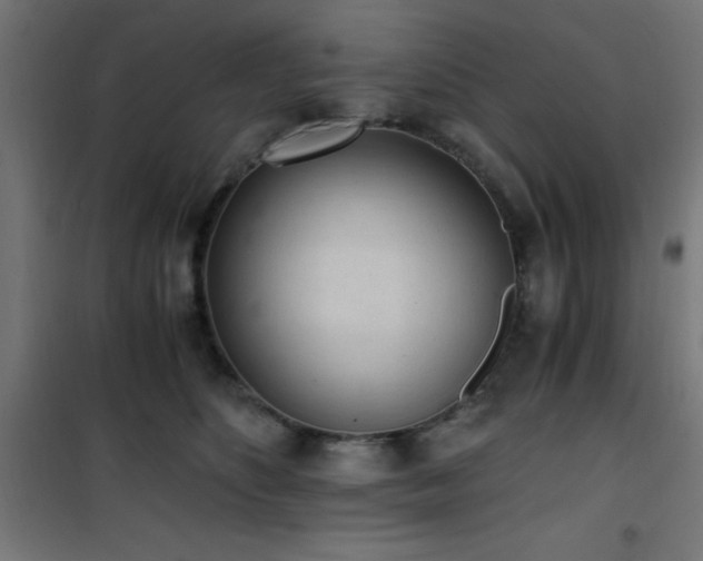 X0000101460516200807071433