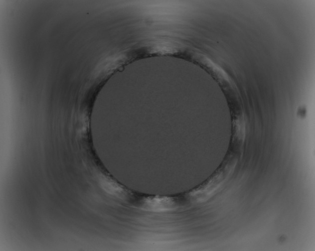 X0000101460517200807071433
