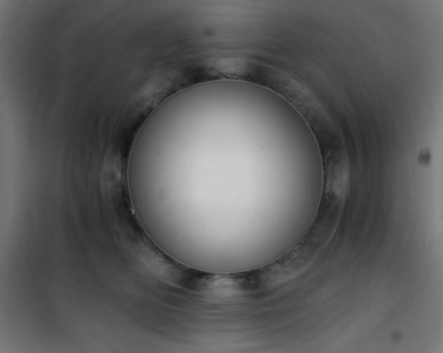 X0000101460518200807071433