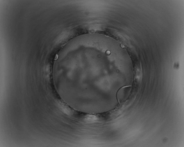 X0000101460519200807071433