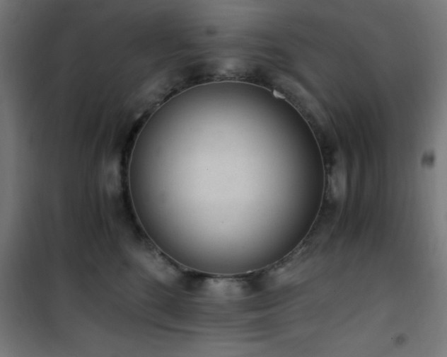 X0000101460520200807071433