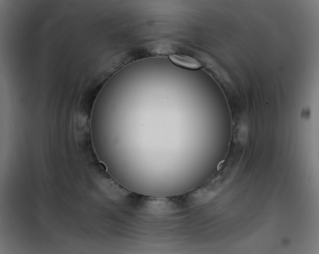 X0000101460521200807071433