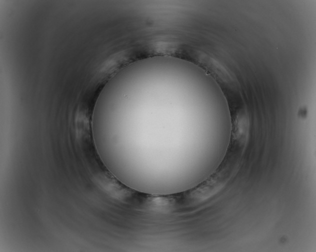 X0000101460522200807071433