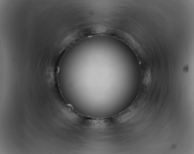 X0000101460524200807071433