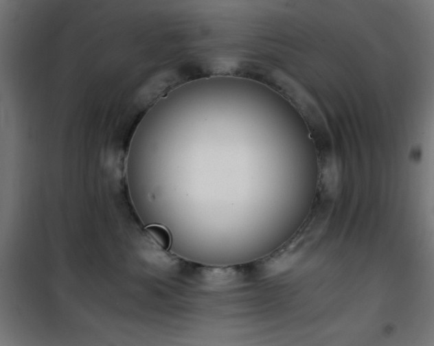 X0000101460525200807071433