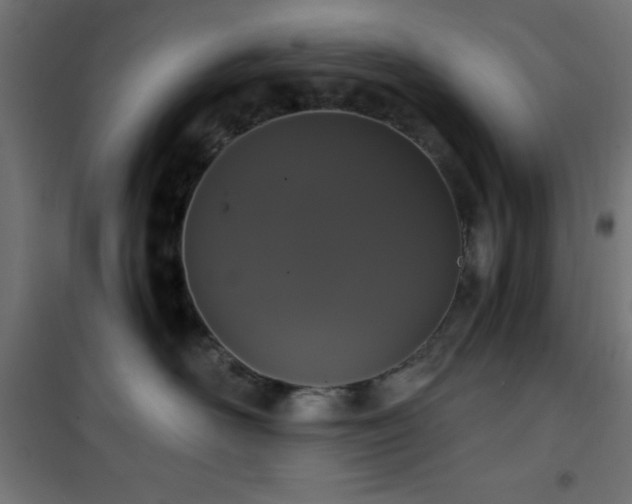 X0000101460526200807071433
