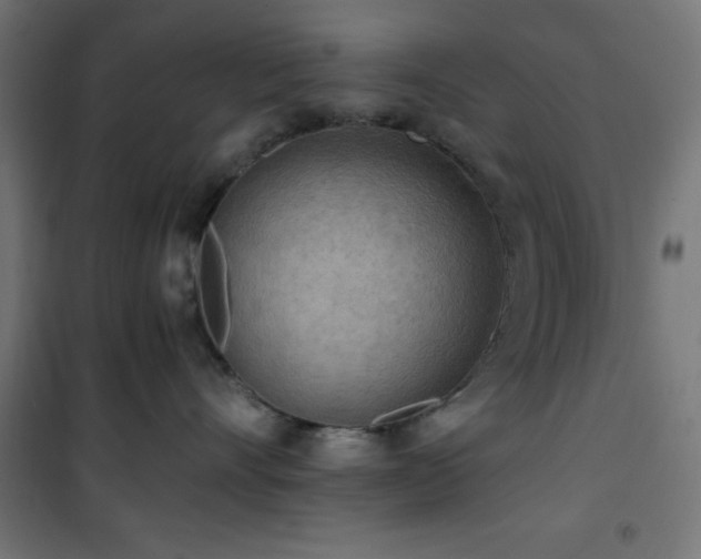X0000101460528200807071433