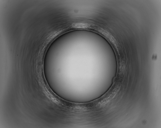X0000101460529200807071433