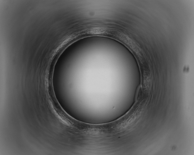 X0000101460530200807071433