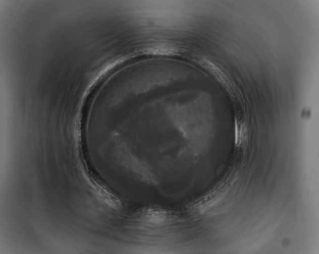 X0000101460531200807071433