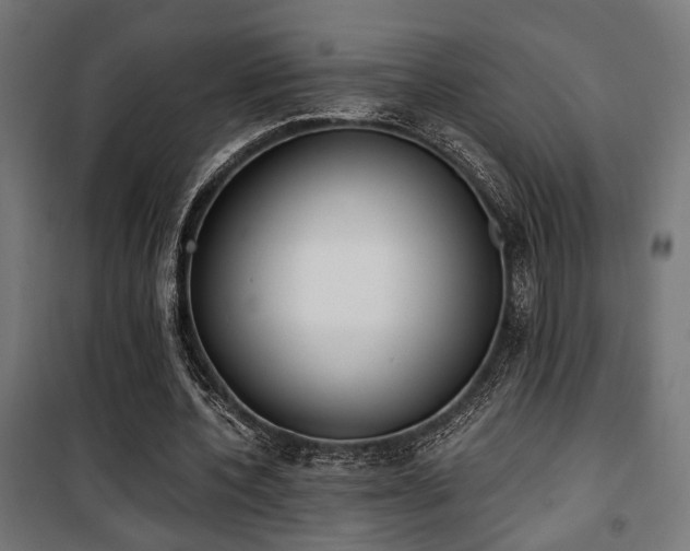 X0000101460532200807071433