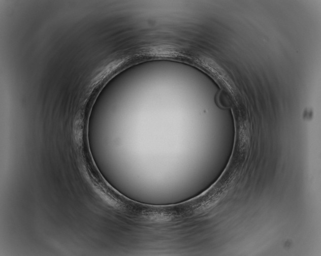 X0000101460533200807071433