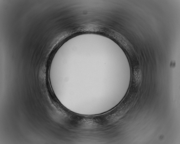 X0000101460534200807071433