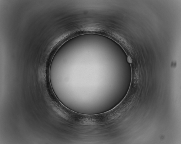 X0000101460535200807071433