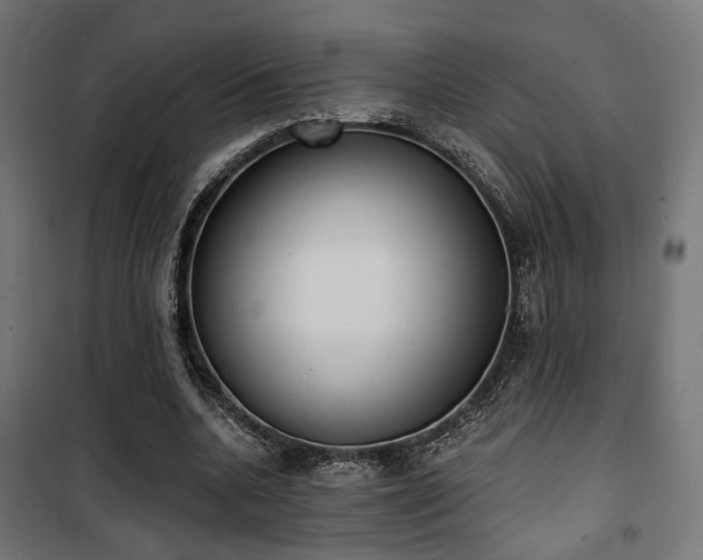 X0000101460536200807071433