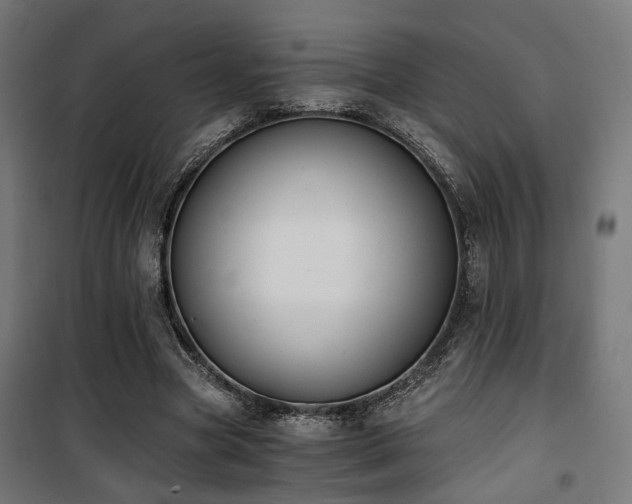 X0000101460537200807071433