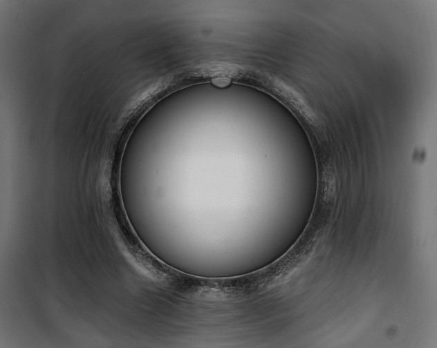 X0000101460538200807071433