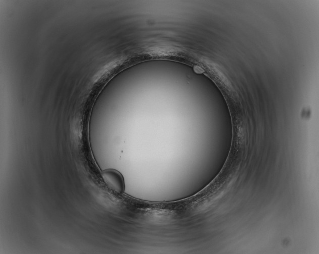 X0000101460539200807071433